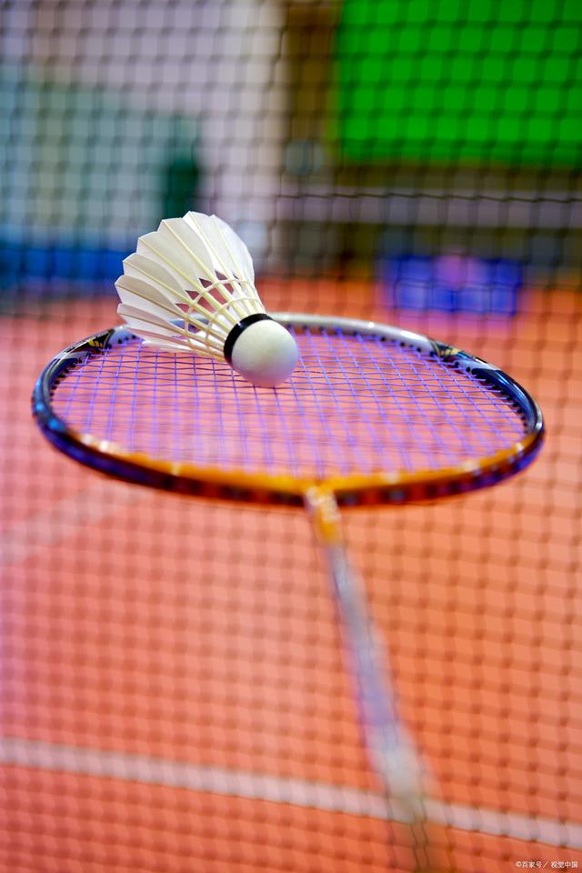 的磨砺中 的磨砺中