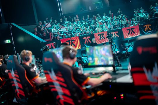 0米蛙泳摘 0米蛙泳摘