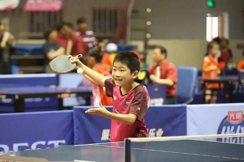 的表现力 的表现力