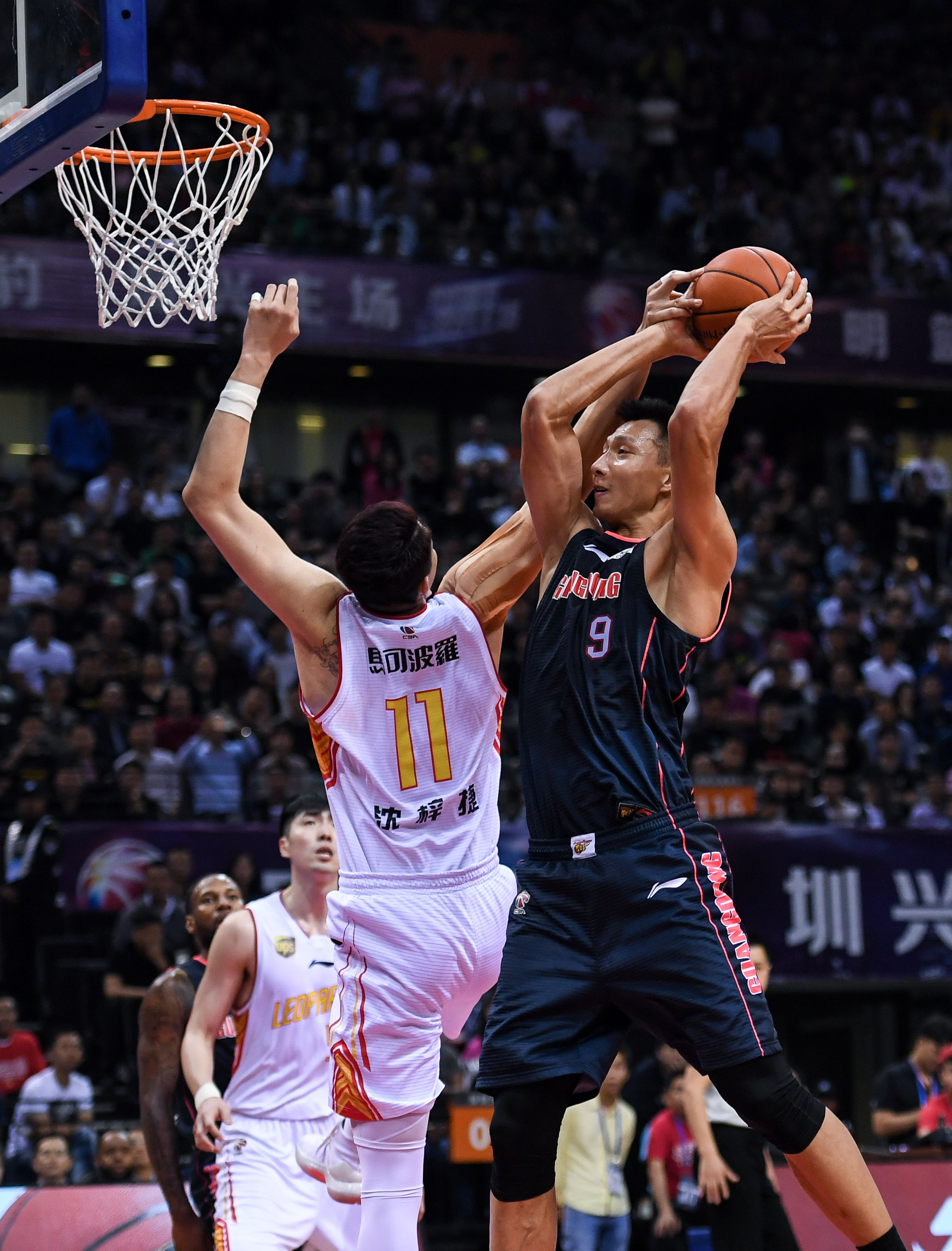 共性在于 共性在于